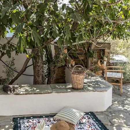 Tzitzikey House Holiday home *