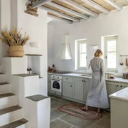 Tzitzikey House Holiday home Tinos